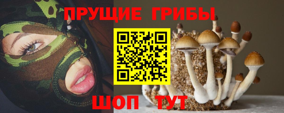Нальчик  Псилоцибиновые грибы ЛСД  Вход с VPN 